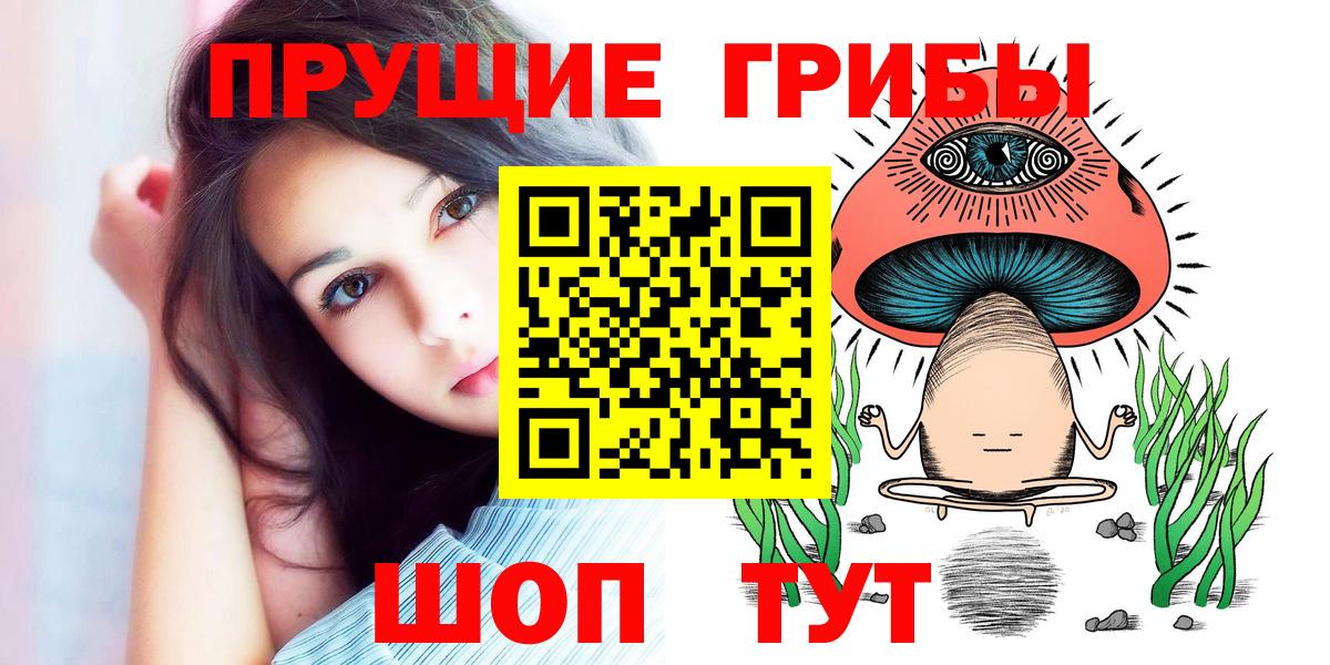 Курчалой  дарнет шоп  Вход с VPN  Псилоцибиновые грибы мицелий 